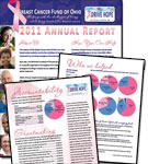 BCFO Annual Report